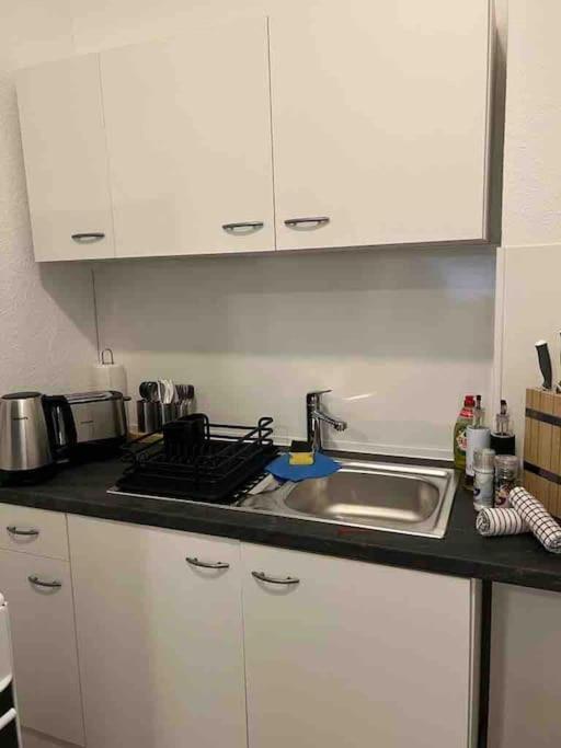 Lux Apartment Near Frankfurt! Mörfelden-Walldorf Esterno foto